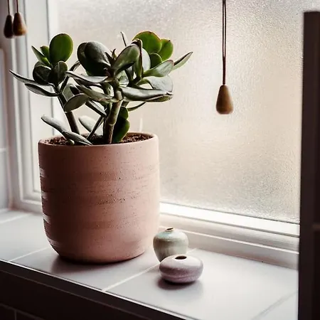 Artistic Hideaway Within York's Ancient Walls *